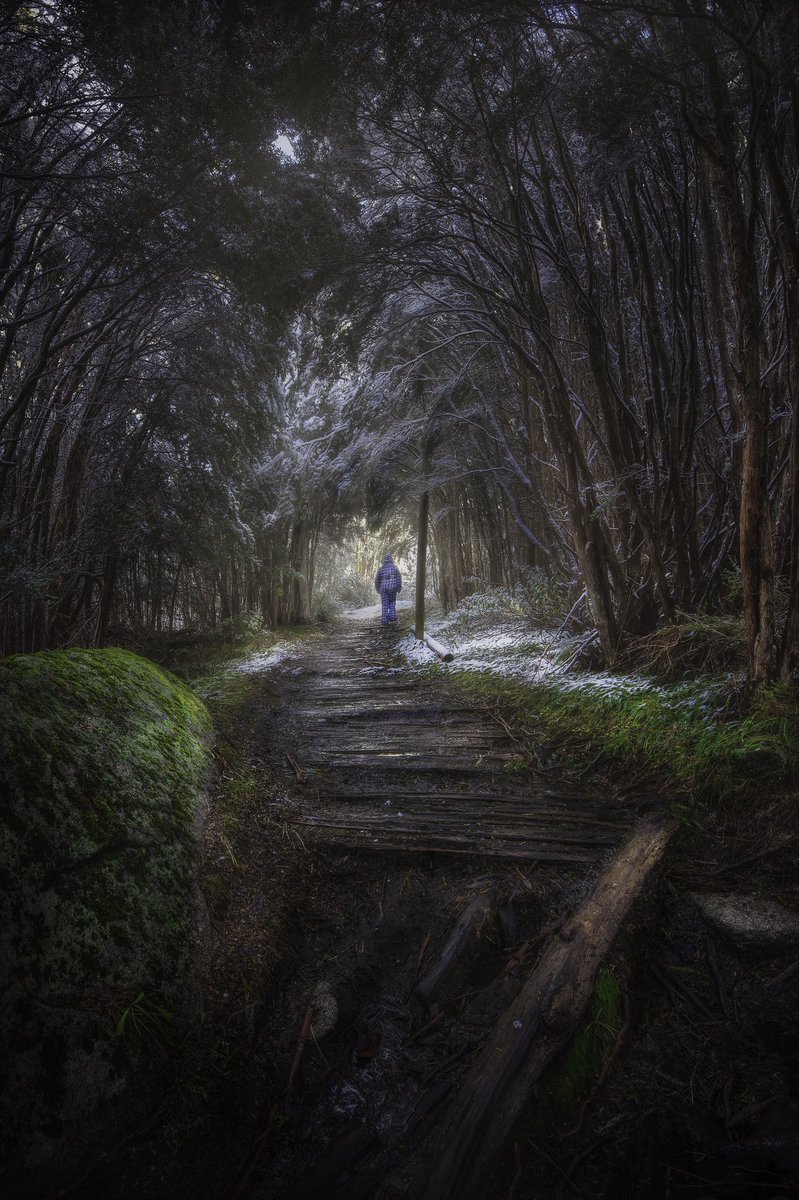 Alex_Martindes's tweet photo. Second attempt trying to get wifey some snow experience.
#snow #Melbourne #australia #Canon #sigma https://t.co/u9zeWL0BTM