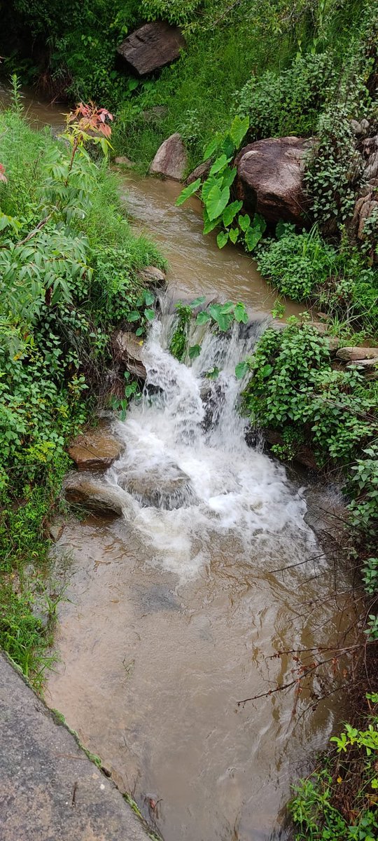 Helloman21345's tweet photo. @aapki_harsha @IndiaTales7 @VertigoWarrior @tourismgoi Uttarakhand https://t.co/UL33oqO0Gw