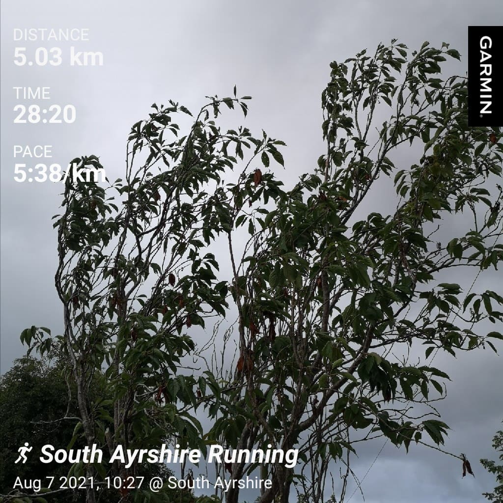Beerdo_El's tweet photo. Ooft, that was a battle...plenty of time on my hands now to work on it though π #ayrodynamictriathlonclub #notritraining #troontortoises https://t.co/in4qZMyDZN