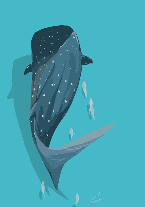 「鮫 鯨」のTwitter画像/イラスト(新着)｜4ページ目