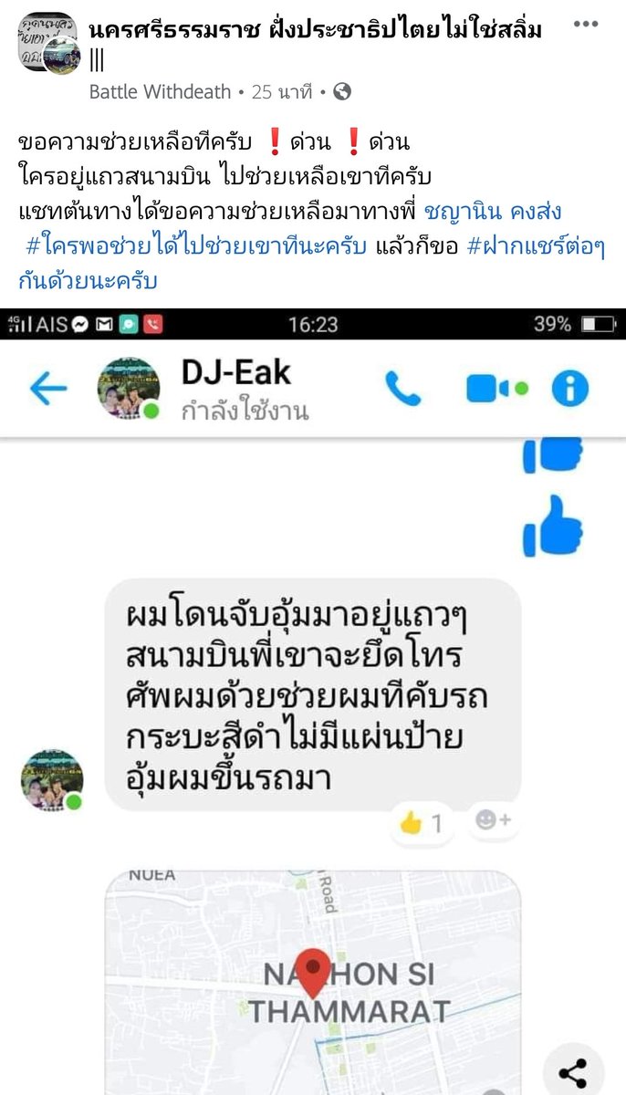 Official Diplazium esculentum tweet media