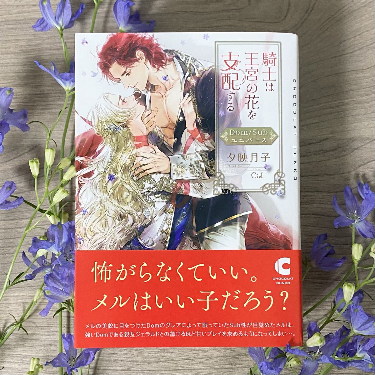 소처럼일하는 ㅅ ㅣ엘 Ciel シエル 3333ciel Twitter