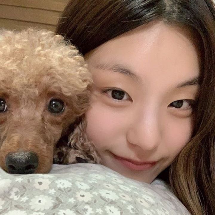 🐺💭 tweet media