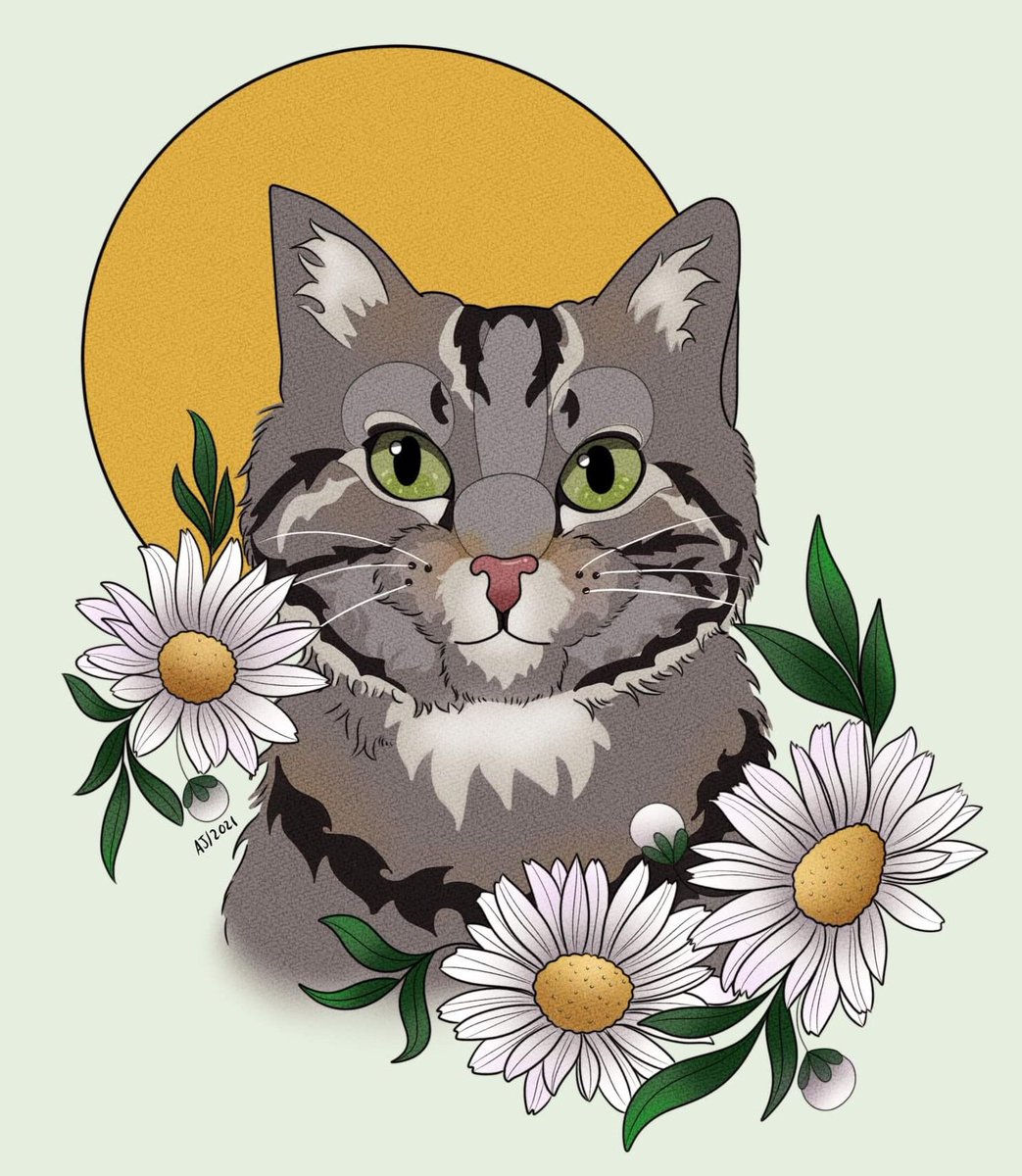 SecondMLSimp's tweet image. Another Kitty