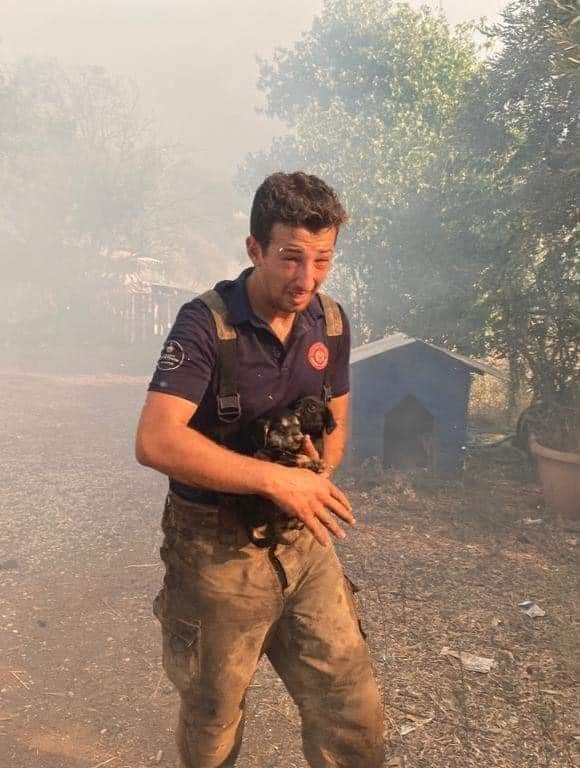 Adınızın hiç bir önemi yok, 
insanlık bir kimliktir..
Victor Hugo