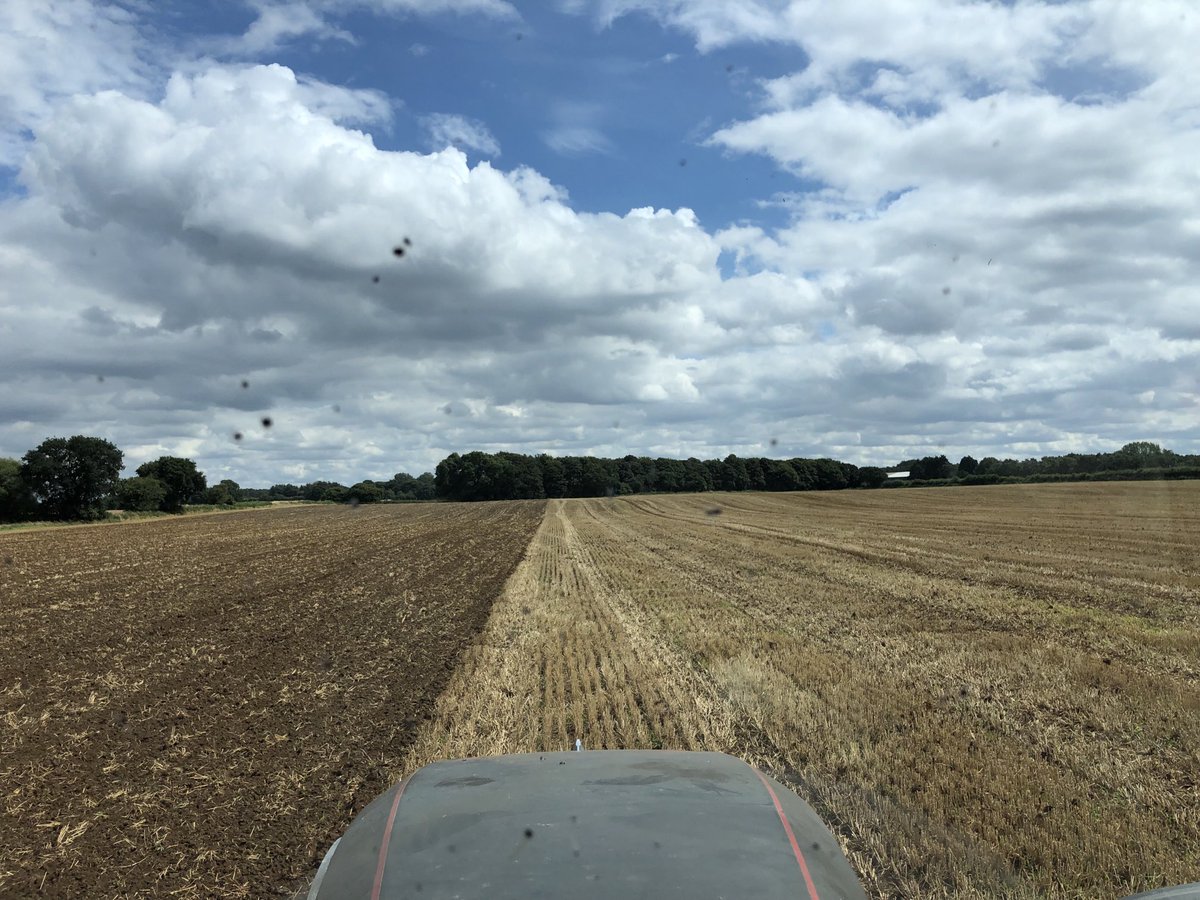 SustEnvFarming's tweet photo. Time for the soil equivalent of a spa weekend..
#covercrops before spuds next year. 7-8 months of #soilserenity for #biodiversity #carbon #latenectar #cover #soilbiota
@SustainableLsps
@YorkshireWater @CFEonline @NFUtweets #ForNature #pledge2040 https://t.co/mQZEBAbN6Y