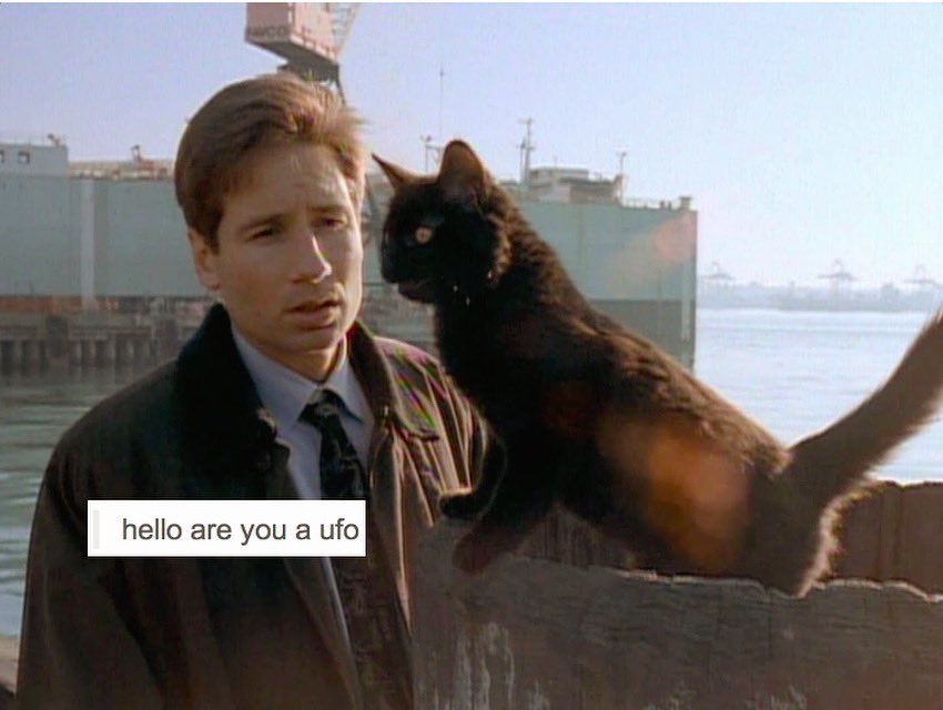 Happy birthday to David Duchovny, born in 1960! 