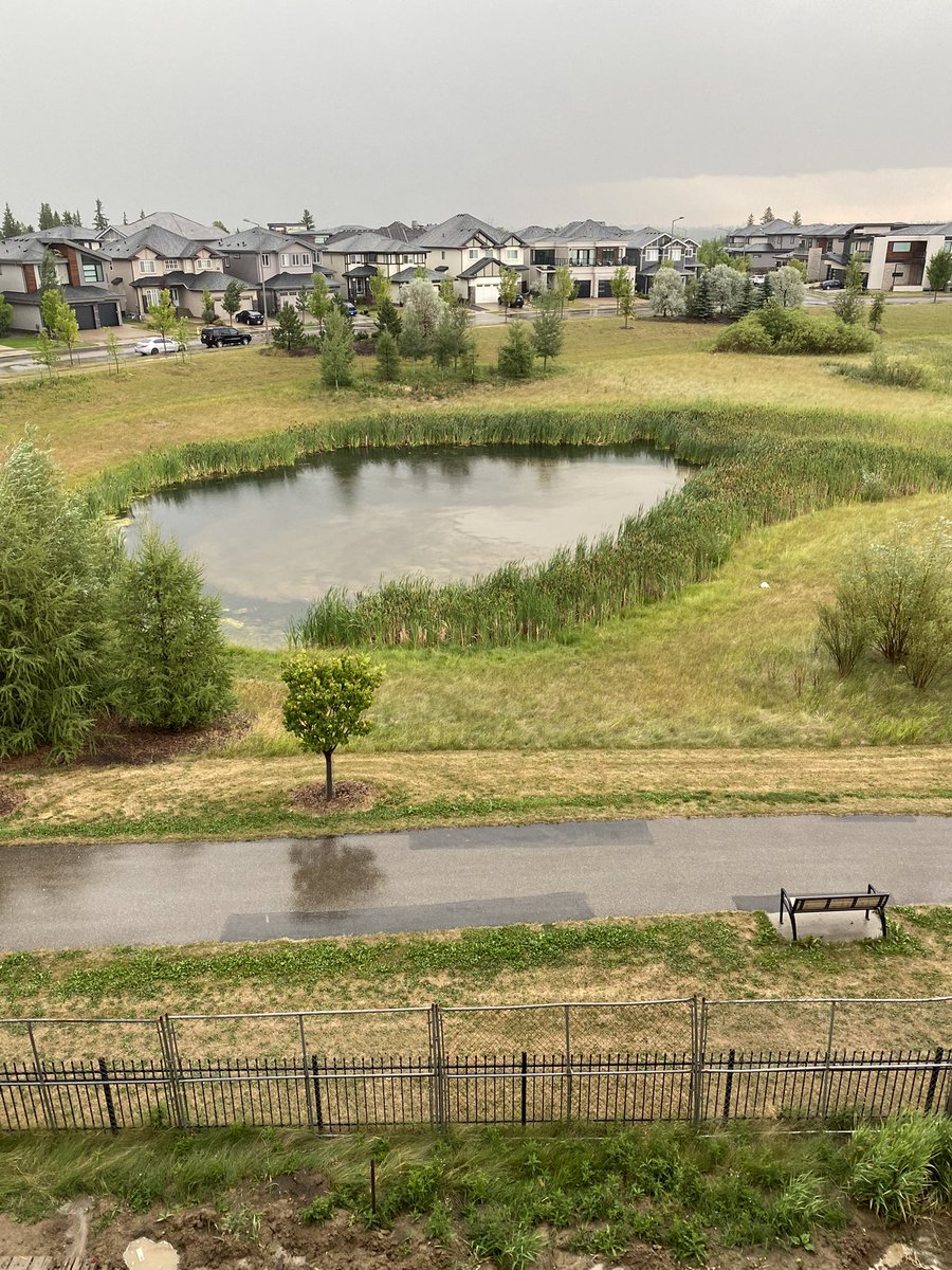 Datsyuk_what's tweet image. I just witnessed lightning hit this pond 50 feet away from me.
Loudest thunder I’ve ever heard