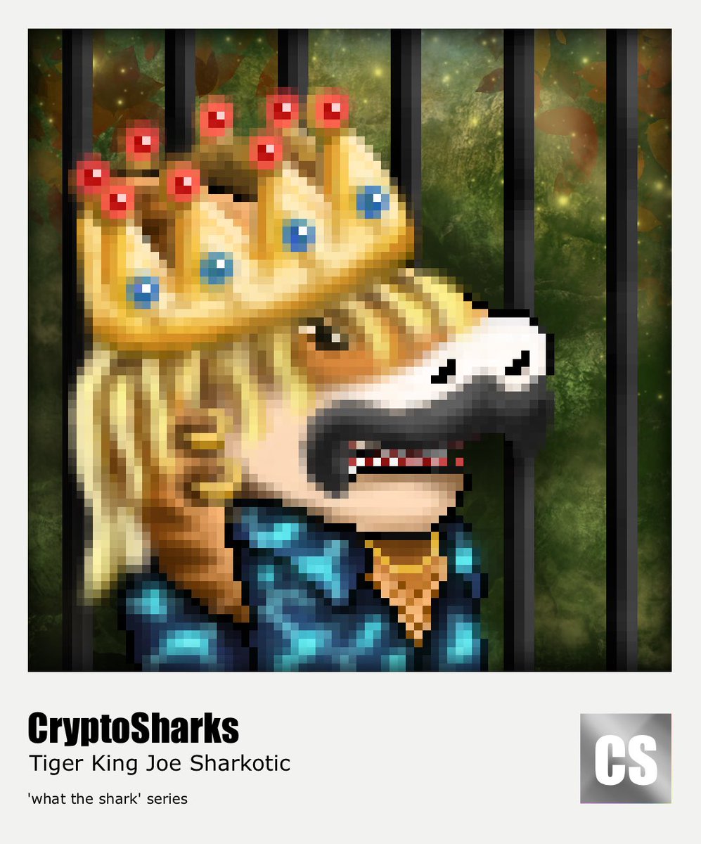 CryptoSharks | NFT 🏴‍☠️🏳️‍🌈 tweet media
