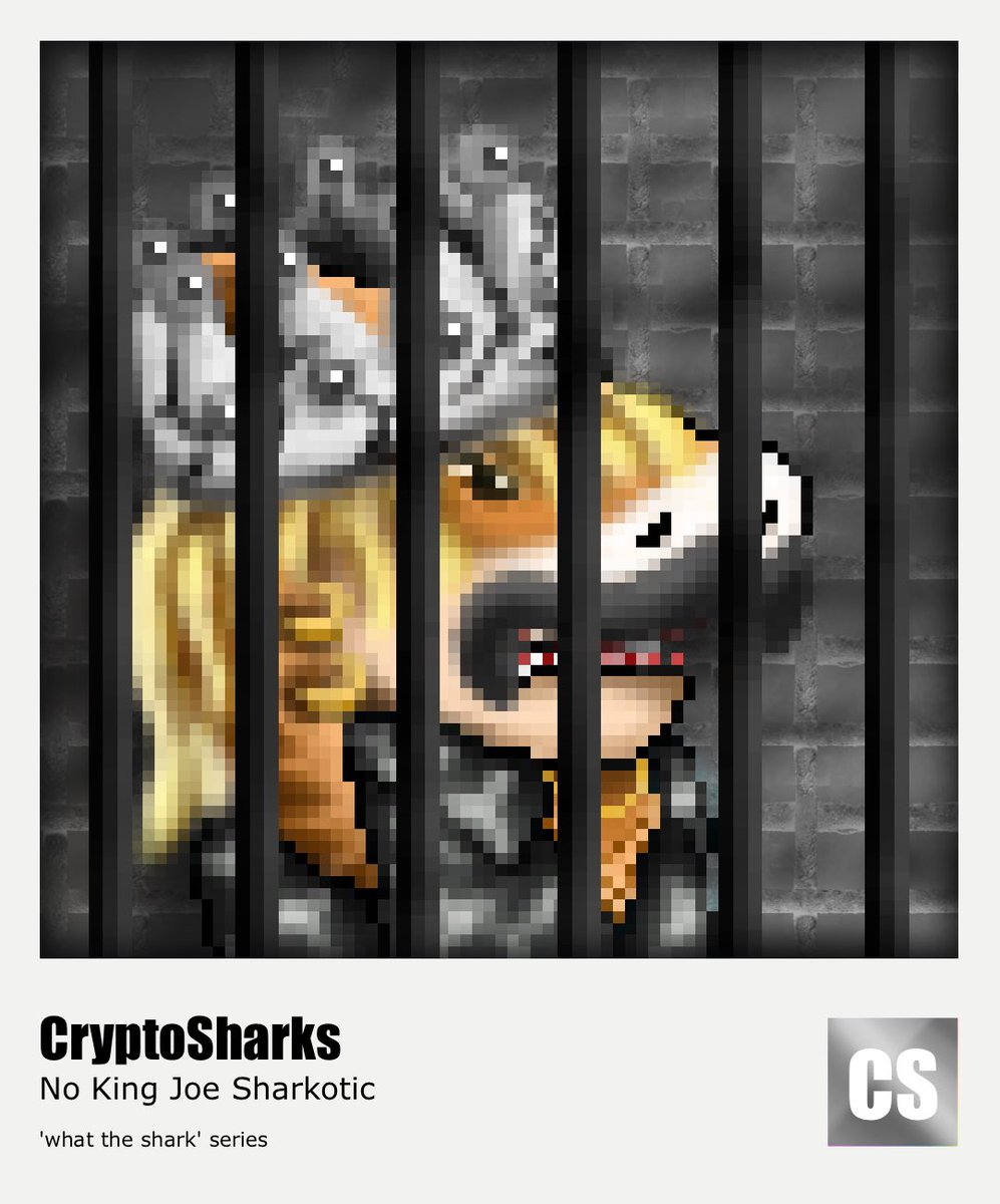 CryptoSharks | NFT 🏴‍☠️🏳️‍🌈 tweet media