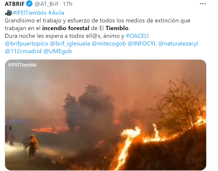 1) HILO: INCENDIOS FORESTALES, ENERGÍA Y LAS POSIBILIADES DE LA BIOMASA EN ESPAÑA.