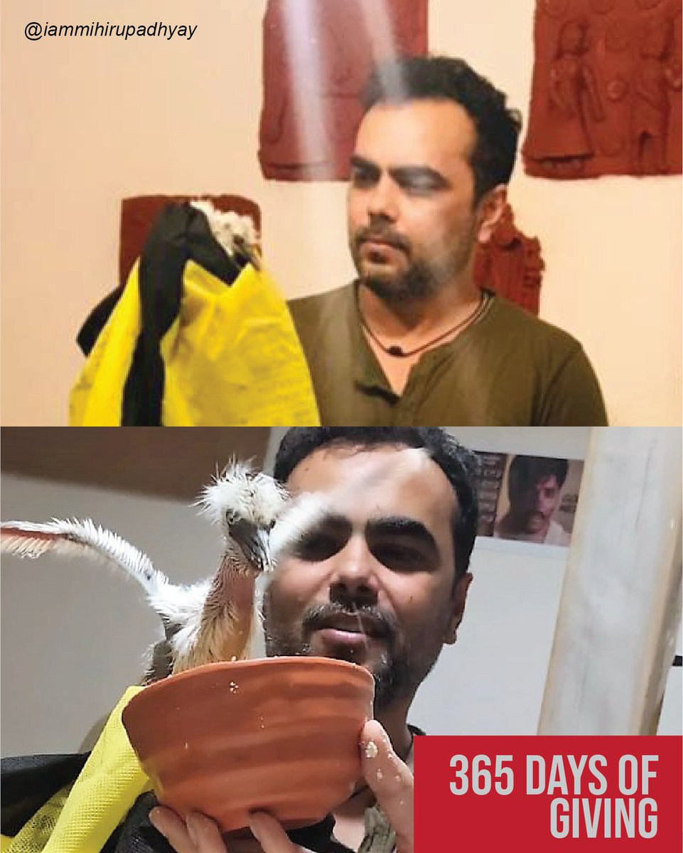 MihirrUpadhyay's tweet photo. Lucky to have rescued a baby Egret from the streets today.
Thank you @_____shanayaa___ @ankita_mithal for your kind support.
Day 74
#365DaysofGiving #humanity #sharing #love #strayanimals #birds #egret https://t.co/vBQTFPRade