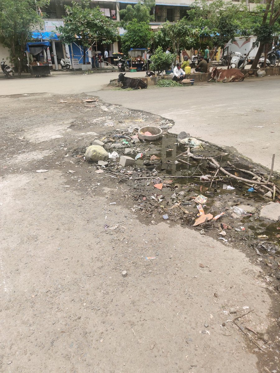 sheldu19's tweet photo. @nitin_gadkari sir look at the condition of roads in virar west (global city ) inspite of complaining to authorities no one is taking any action.many people have faces a lot of issue regarding this condition of roads.plz ask the respective authority to see to this matter asap https://t.co/LGE5ygwiuW