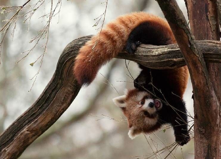 joni 🦋 tweet media