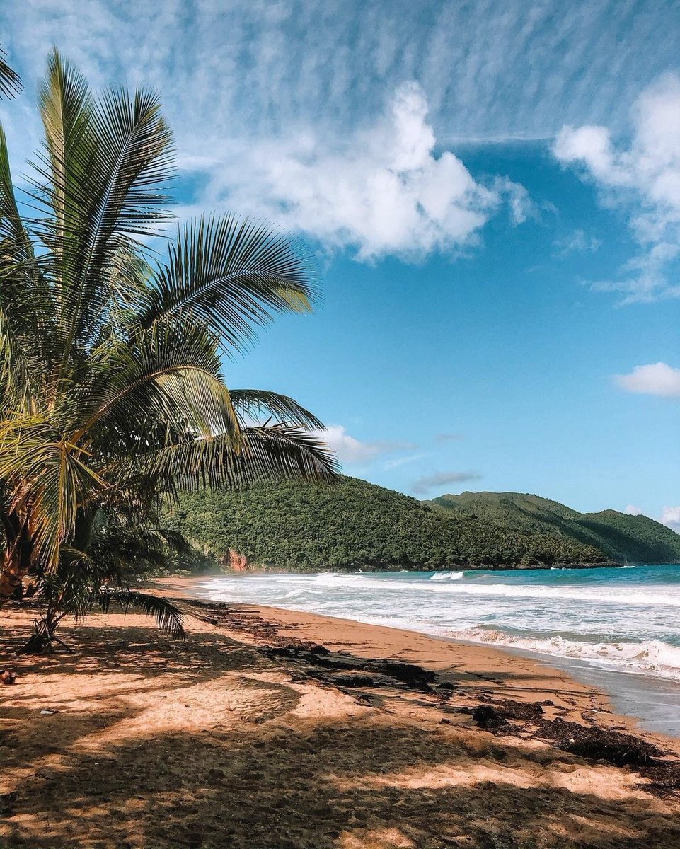 WrightGetaway's tweet photo. There are over 200 beaches in DR - many are uncrowded and undeveloped! Dominican Republic is a great place to disconnect and really indulge in the world around you.
📷 @getawaydominicanrepublic
#exploredr #beachvacation #relaxation #vacationmood https://t.co/7nRqlkbZeB