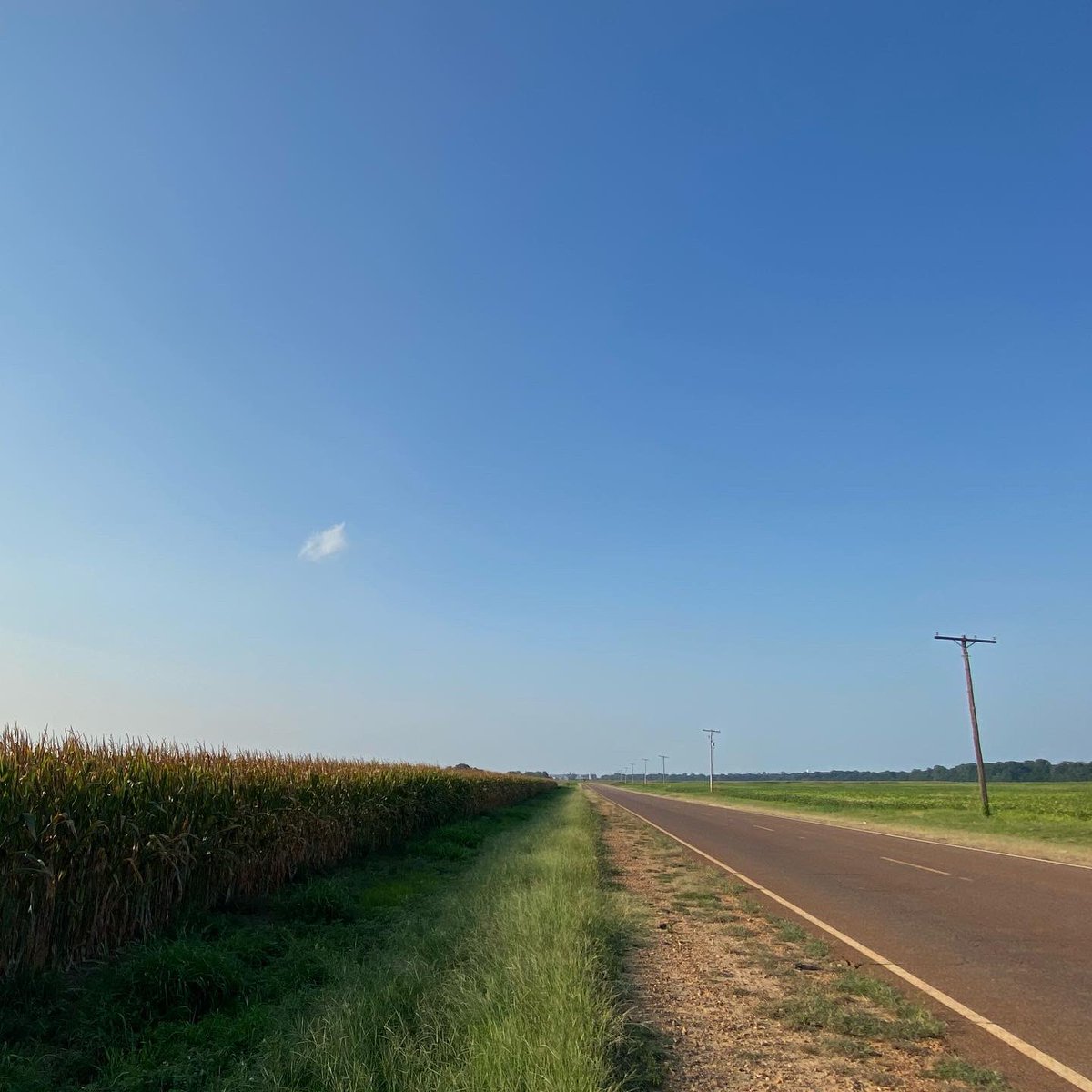 joel_off_air's tweet photo. Thereβs no place like the delta.. π±ππΊ #MississippiDelta #CoahomaCounty #MississippiRoads #MississippiRiver #OldManRiver #FriarsPoint #mswx #arwx @NWSMemphis https://t.co/vvUqNJQvW7