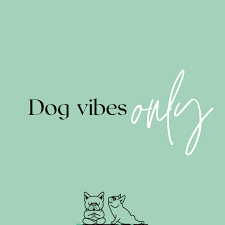 Good *Dog* Vibes Only  🐶

#jacksinc #jmipetsupply #saturdayvibes #petmemes #petindustry #petproducts