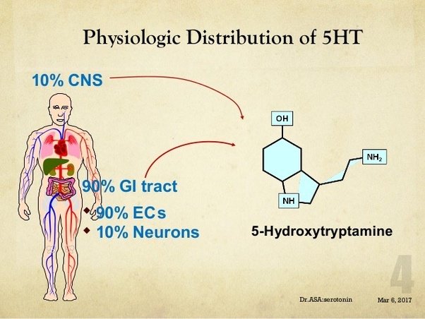 Rainmaker1973's tweet image. About 95% of serotonin is produced in the gastrointestinal tract which is lined with a hundred million neurons, that are influenced by bacteria. The inner workings of the digestive system don’t just help digest food, but also guide moods and emotions buff.ly/2uitQs1