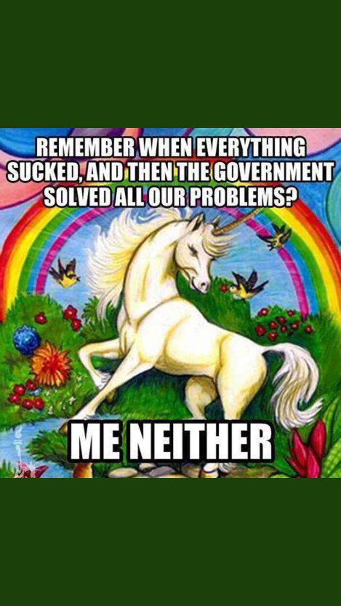 BerniesWave's tweet image. 