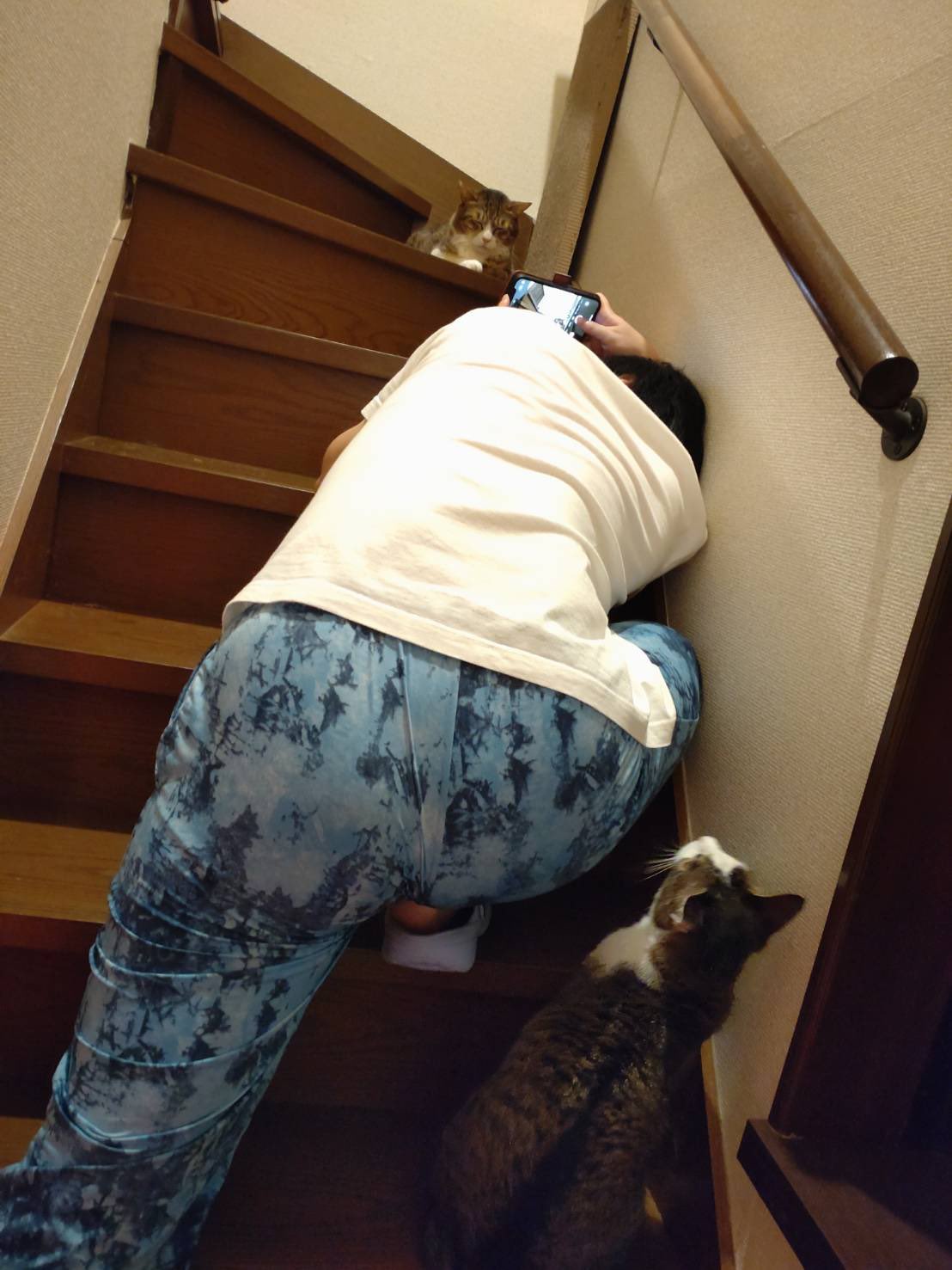 コンドリア水戸 on X: 妻に恥ずかしい写真を盗撮されました。 t.cofDYu8kJuvE  X