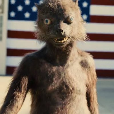 AnimatedCorgi40's tweet photo. #NewProfilePic https://t.co/eXkDq6ztCQ