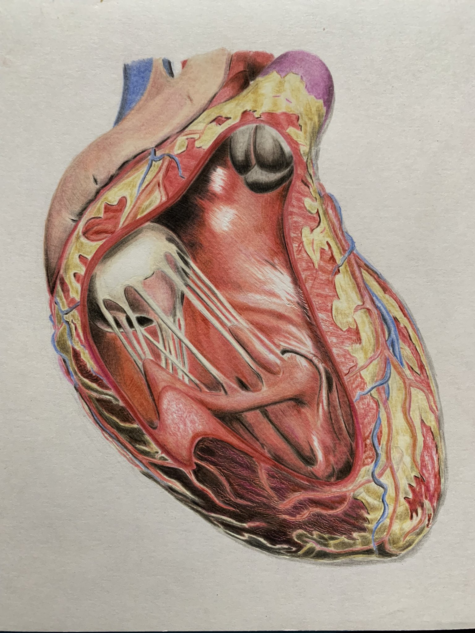 心臓と足の骨の油彩画 心臓と足の骨の油彩画 心臓と足の骨の油彩画 心臓と足の骨の油彩画