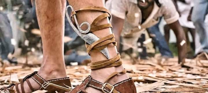 Nithin_Adam's tweet photo. തോർത്ത്‌ മുണ്ട് മടക്കി തോട്ടിലെ വെള്ളത്തിൽ മാമനും മക്കളും പരൽ മീനുകളെ പിടിച്ചു കളിച്ചിട്ടുണ്ടാകും... പക്ഷെ ആ ഈരിഴ തോർത്തിൽ സ്രാവിനെ കിട്ടും എന്ന് കരുതണ്ട..
ഇത് ആൾ വേറെയാ... 😎

#50YearsofMammoottysm https://t.co/MC9e22o9yj