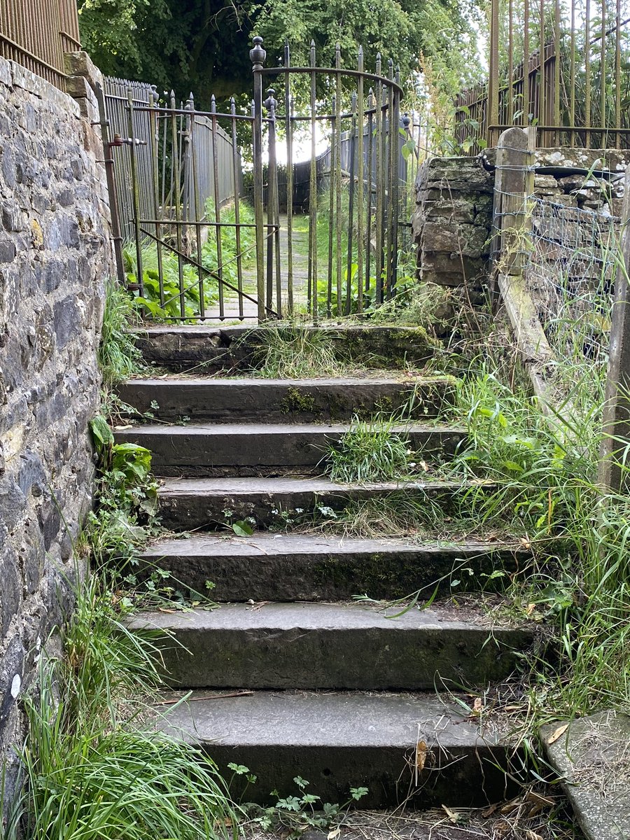 Elaine Blackett-Ord tweet media