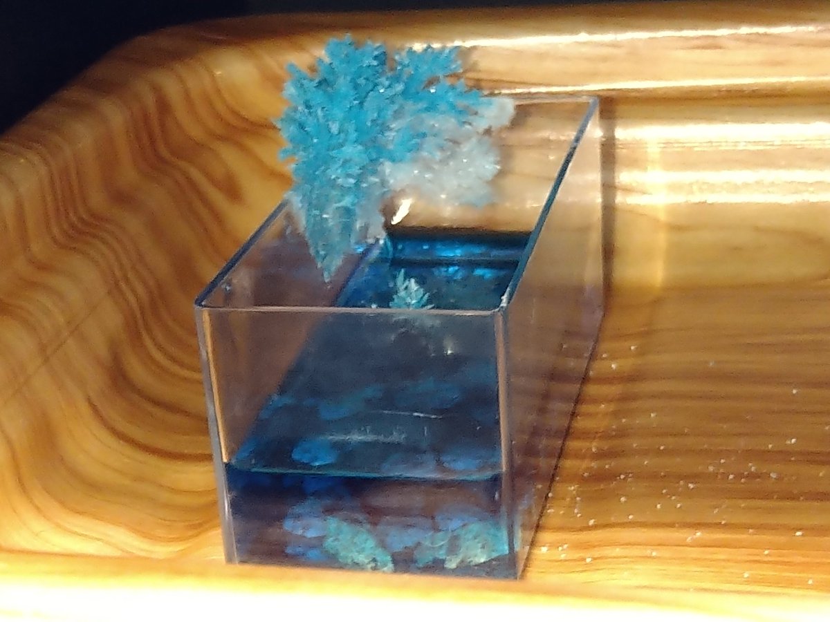 不二望 のんって呼んで下さい V Twitter 小学生用の理科キットで結晶作って遊んでたんだけど なかなか結晶できなくて今回失敗だなーと放ったらかししてたら 今見てビビりましたよ なぜ容器の外で結晶化しているの 笑 ゴジラの背中みたいやね