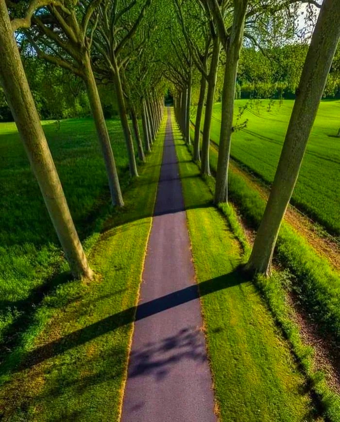 Nice Day 💚💚🟩