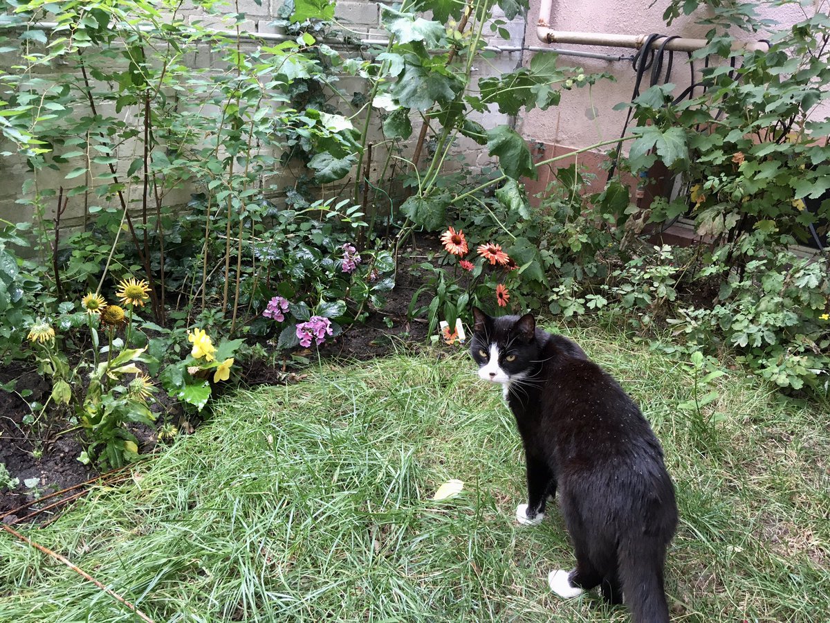 dennoch_berlin's tweet photo. Echt jetze? Schon wieder ein Foto?
#catcontent
#contentcat
πΈ https://t.co/xjMnTYKUQ6