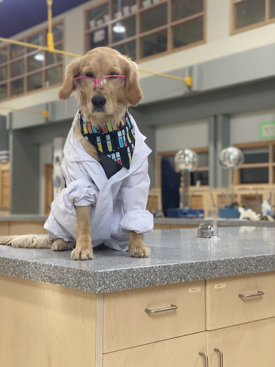 100% chance of student engagement with this guest lecturer.
#Science #Dogs