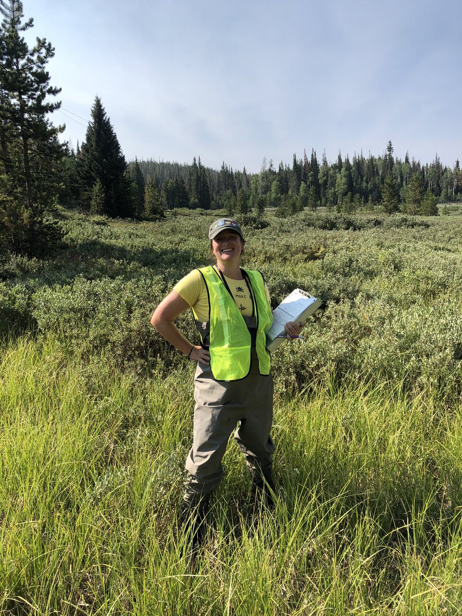 SEaquatics's tweet photo. Some action photos of our stream crossing protocol training in the west! This is the Wasatch National Forest. Culverts, dams, and diversions threaten native aquatic species. These two structures were upgraded to allow fish passage. @TroutUnlimited @USFWSFisheries @FishHabitat https://t.co/i9i3wSdZ3S