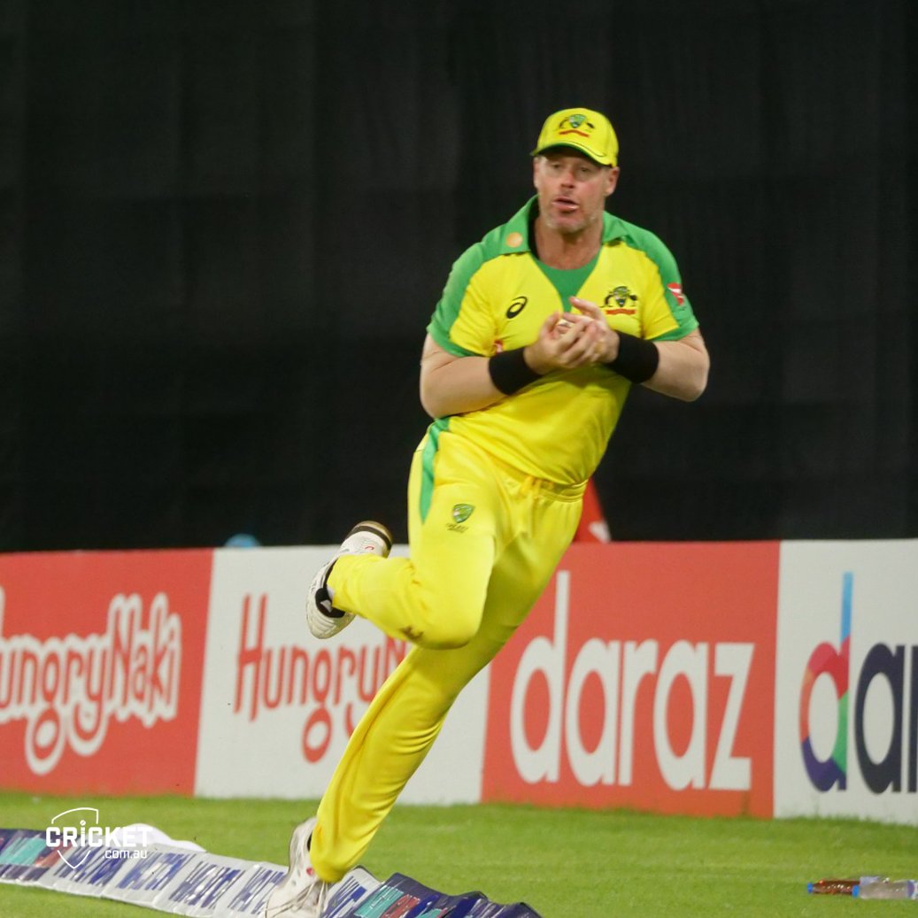 cricket.com.au tweet media