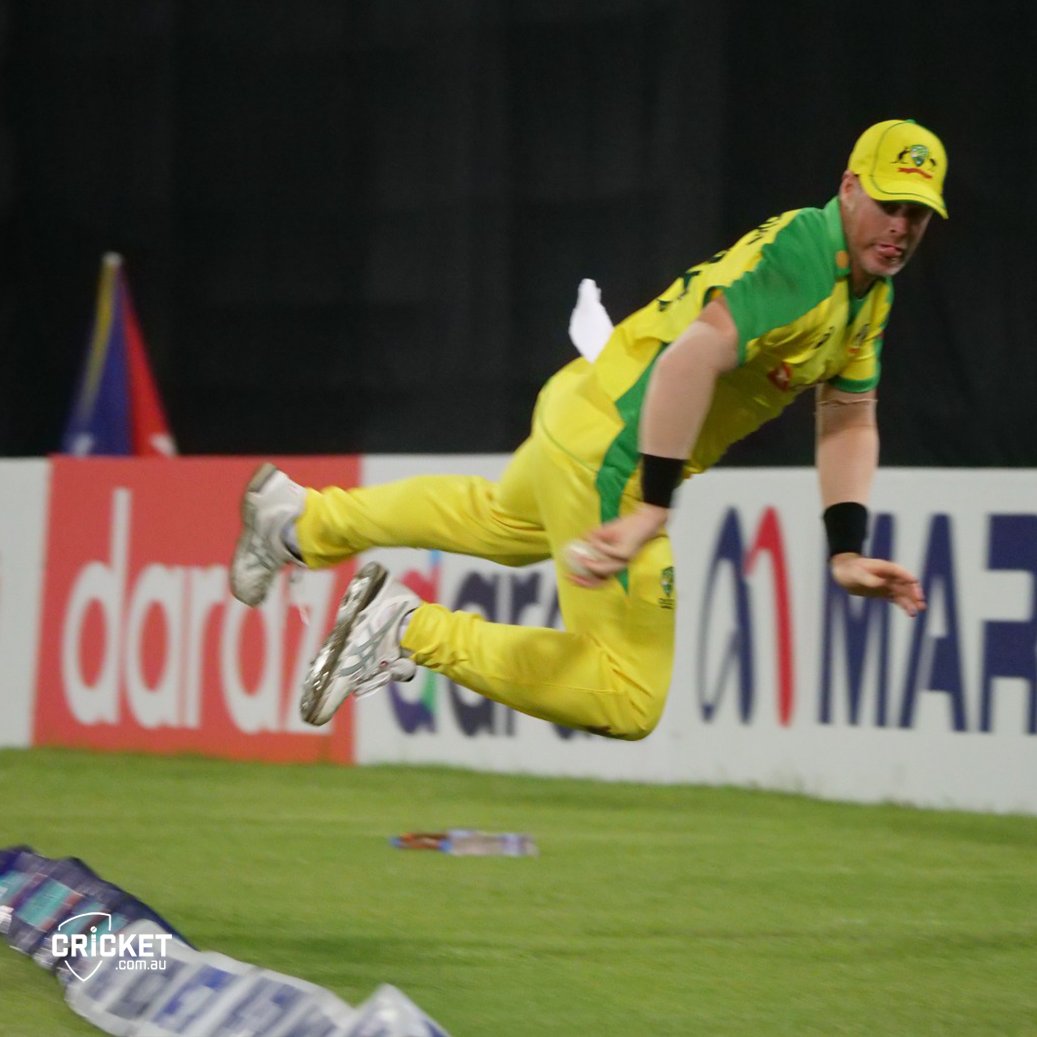 cricket.com.au tweet media