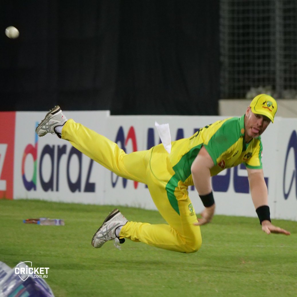 cricket.com.au tweet media