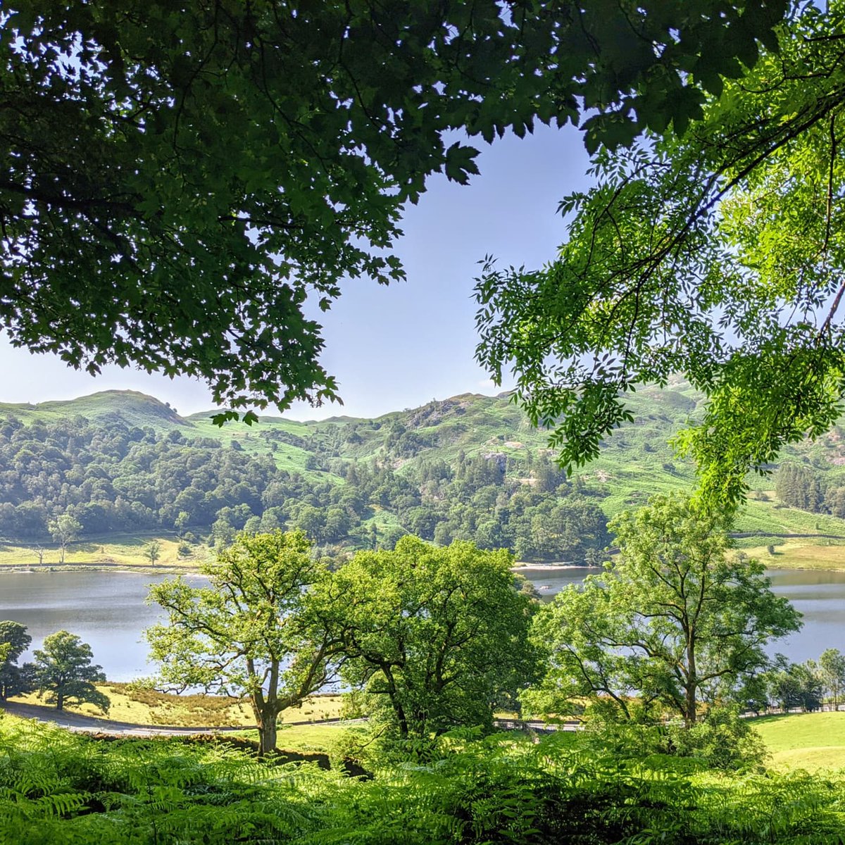 hazel_el_rose's tweet photo. I absolutely loved writing this article and thinking about weird haunted places 👻

Recently I visited Grasmere and of course insisted on walking the Coffin Road from there to Rydal Water (see pics) - although the bright sun and 30° heat kinda took away from the spooky vibes! https://t.co/zANplHm9WR