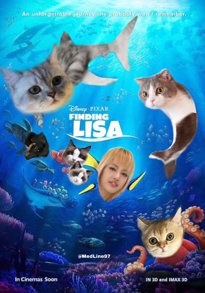 catnip5555's tweet photo. WHERE IS LISA?
#FINDINGLISA #LISA #LALISA #BLACKPINK #리사 @BLACKPINK https://t.co/6XzAhQRws6