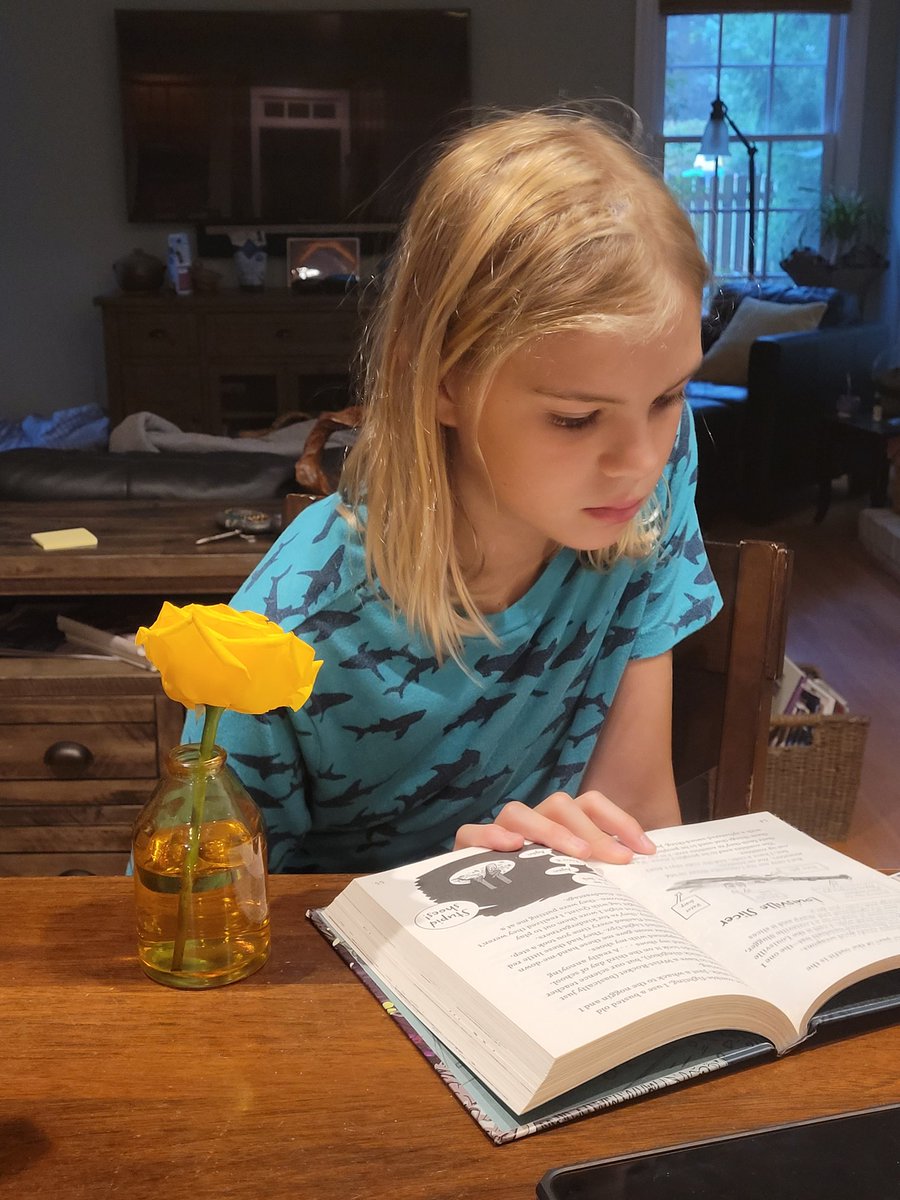 Jennifer Zerda tweet media