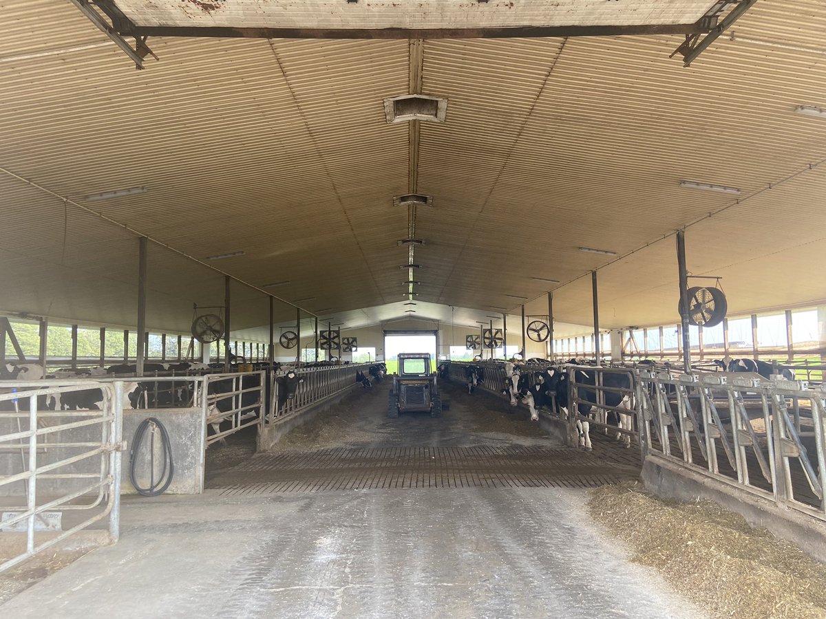 evdeg's tweet photo. Looking for a part-time milker for Sunday night shifts (7:30-11:00) occasional weekend afternoon shifts (12:30-4:00). $80 for nights, $70 for afternoons. Opportunities for extra hours during fieldwork seasons. Please submit a resume to giercrestfarms@gmail.com. RTs appreciated. https://t.co/M1NySH4TFP