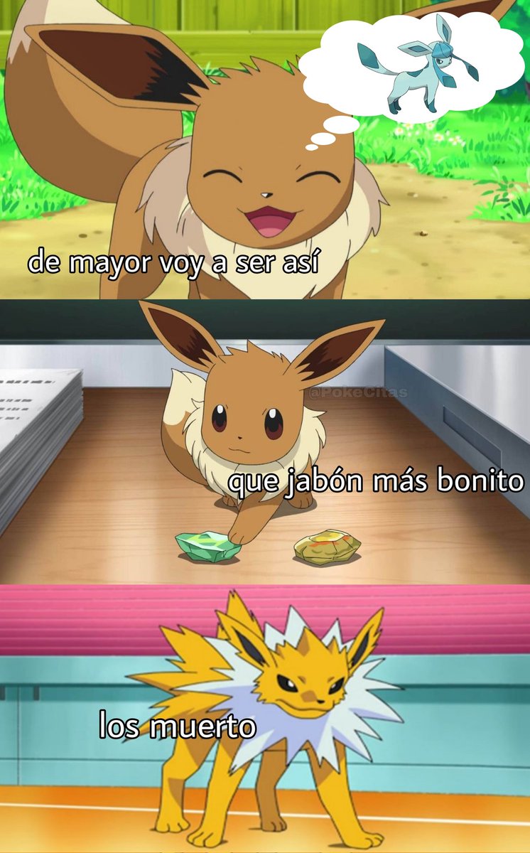 Memes Pokémon (@pokecitas) on Twitter photo 