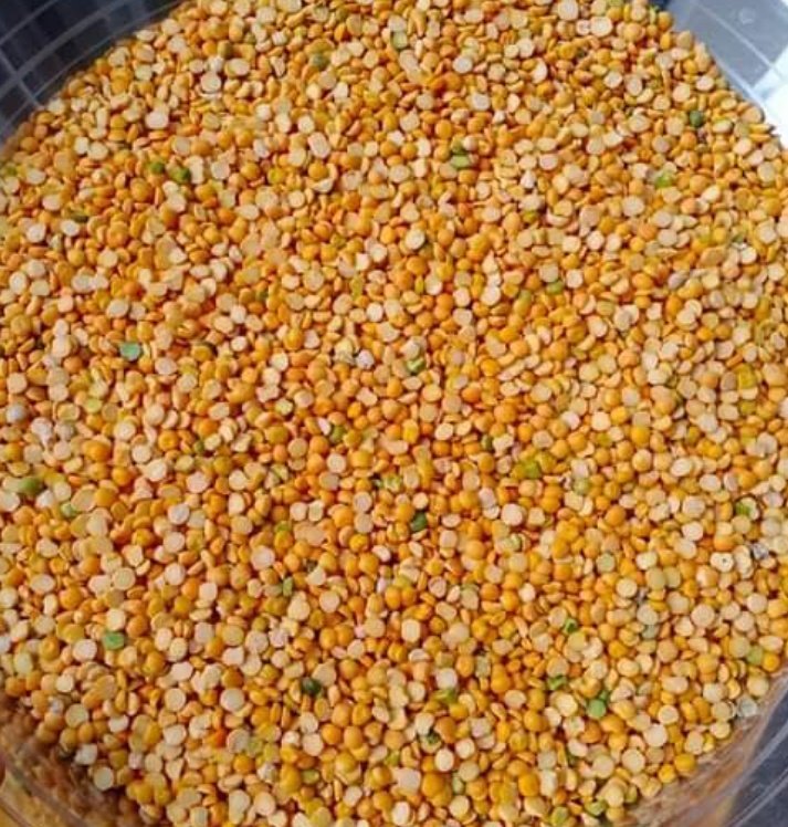 WE BUY CASH. WE NEED THROUGHOUT THE YEAR.

MILLERS AND BROKERS WHO CAN SUPPLY CHANADAL 
CHANA CHATI 
CHANA DAL TUKDI
MATARDAL 
MATARDAL TUKDI

CONTACT 

8388994285
6295954336
Whatsapp kindly drop your details
