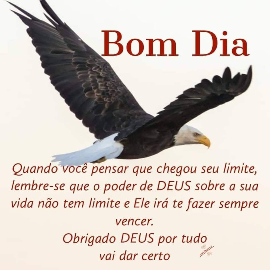 Léia Silva❤ on X: Oi Gentees..🌞 Sexta-feira Obrigado Deus.. Bom finds  a tds vcs.. Bom diaaa😘  / X