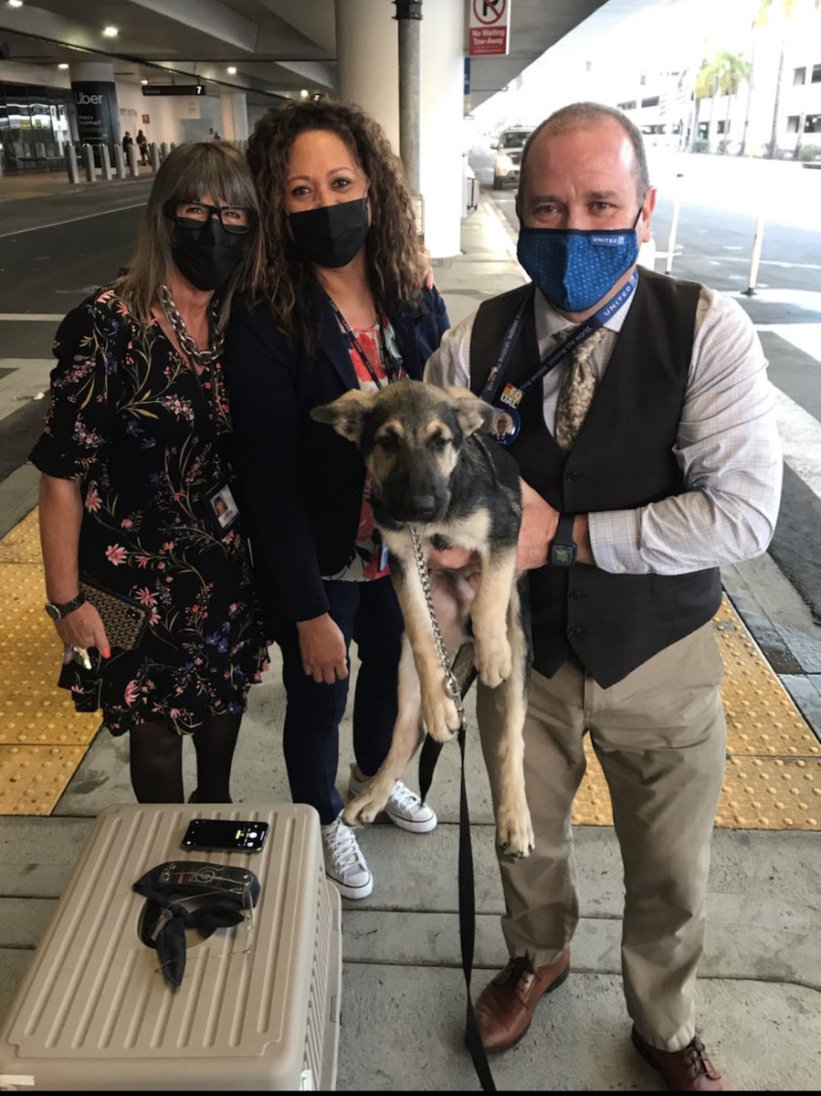 Brian J Gaughan (@bjg66) on Twitter photo What do you do when a passenger abandons their puppy in a carrier on the curb outside? You give him water. You feed him. Take him to the dog run area. And you reach out to your network of coworkers to find him a home! <a href="/weareunited/">We Are United</a> #beingunited <a href="/DorisGunnell/">Doris Gunnell</a> <a href="/Maggie_Ronan/">Maggie Ronan</a> What do you do when a passenger abandons their puppy in a carrier on the curb outside? You give him water. You feed him. Take him to the dog run area. And you reach out to your network of coworkers to find him a home! <a href="/weareunited/">We Are United</a> #beingunited <a href="/DorisGunnell/">Doris Gunnell</a> <a href="/Maggie_Ronan/">Maggie Ronan</a>