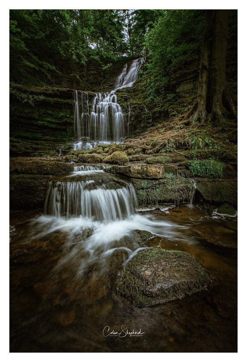scotsgreyphoto's tweet photo. Scaleber Force, Settle, North Yorkshire
https://t.co/cYKCLVPh3g
#scaleber #landscapephotography #landscapelovers #Yorkshire #waterfalls https://t.co/m2JFPwDD2I