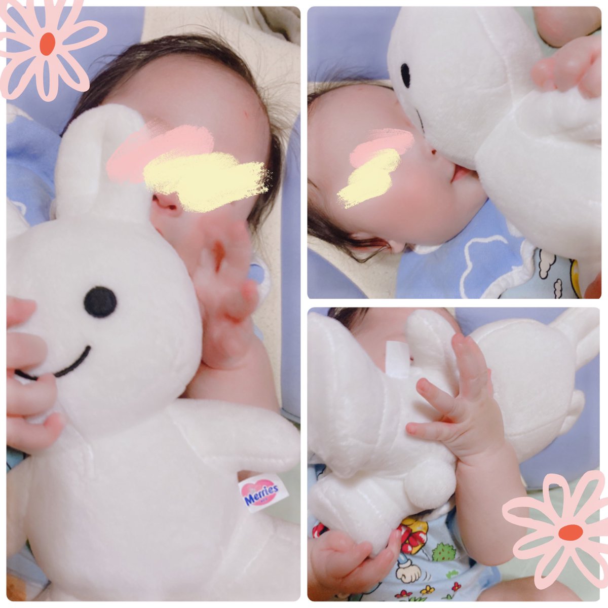 メリーズうさちゃん メリーズうさちゃん
