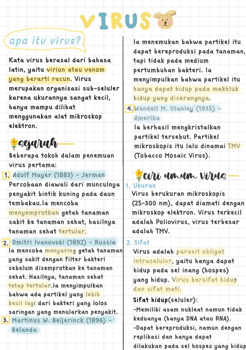 𝒟. (semigap era) tweet media