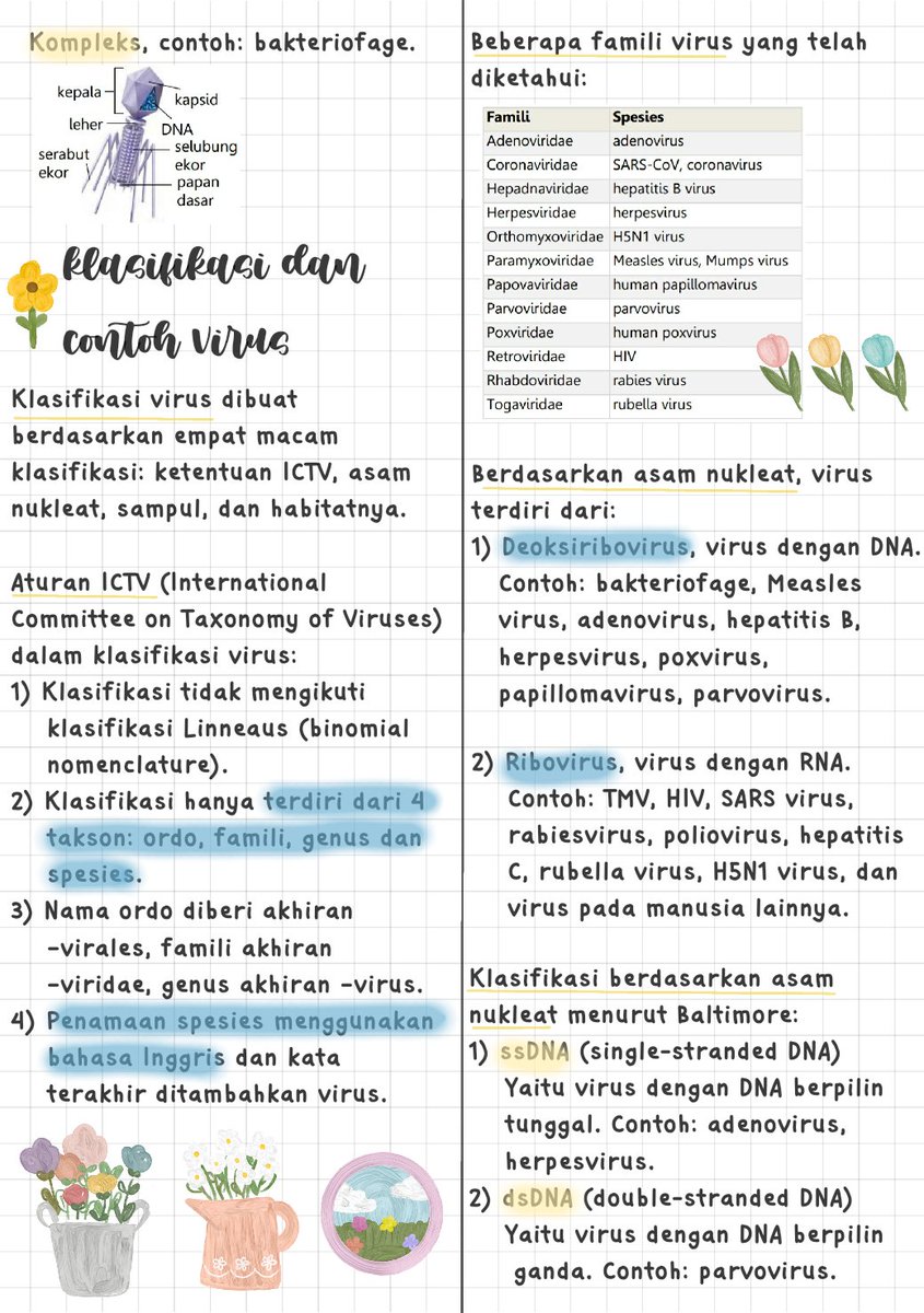 𝒟. (semigap era) tweet media
