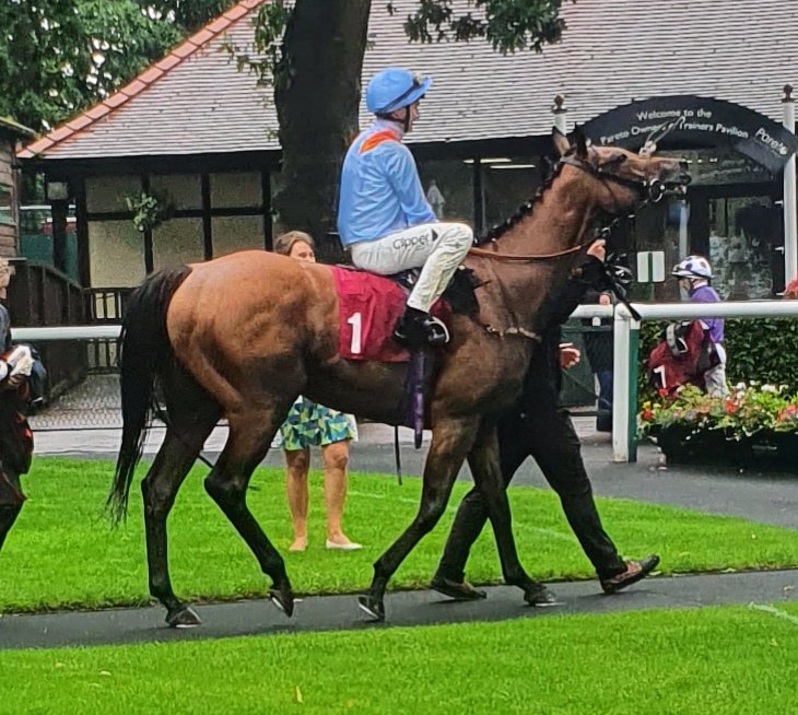 haywardsport's tweet photo. #ColdStare @MprUpdates @omeararacing wild celebrations 🍾 congratulations to connections https://t.co/bGCLWjWQQY