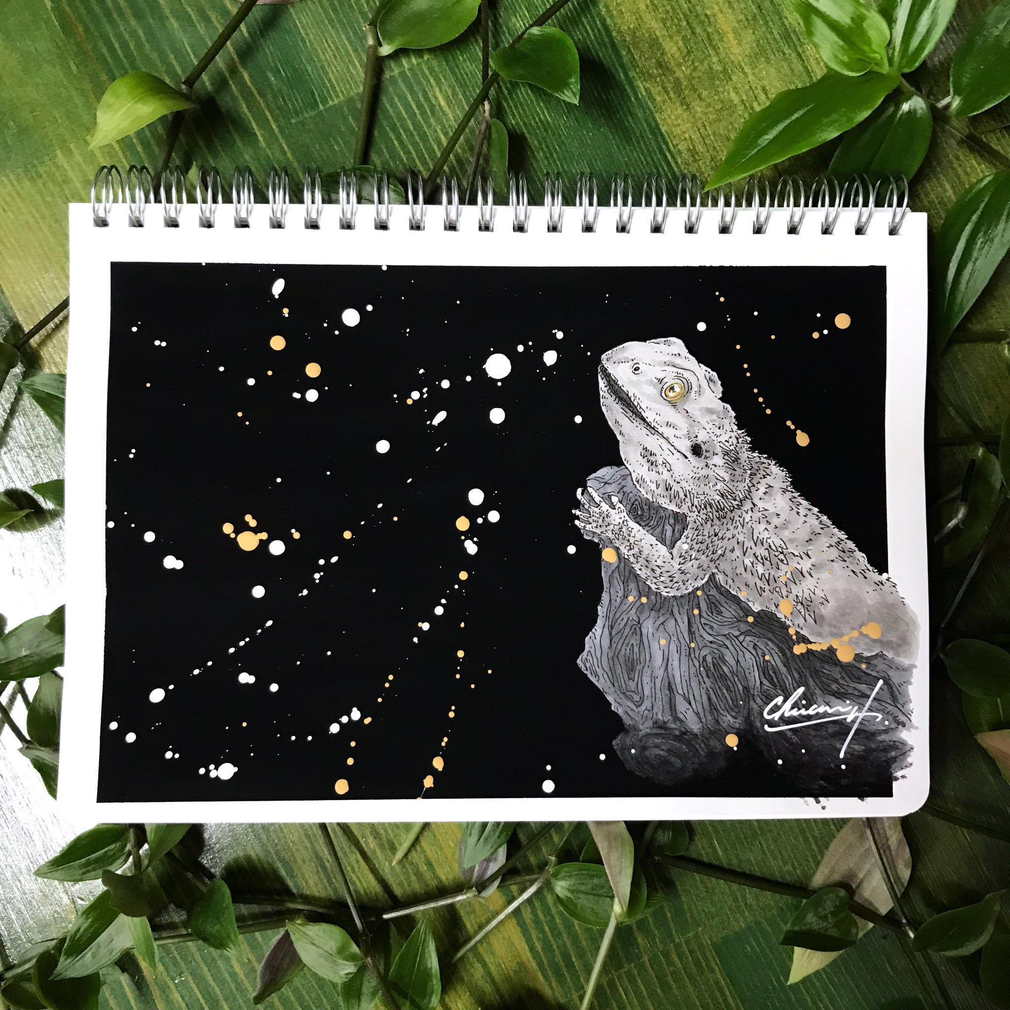 ちょなみ Lizard めちゃ可愛いトカゲ完成 絵 イラスト デザイン アナログ絵 トカゲ Art Illustration Design Drawing Lizard 絵描きさんと繋がりたい イラスト好きさんと繋がりたい アナログ絵描きさんと繋がりたい T ちょなみ Lizard めちゃ可愛いトカゲ完成 絵 イラスト デザイン アナログ絵 トカゲ Art Illustration Design Drawing Lizard 絵描きさんと繋がりたい イラスト好きさんと繋がりたい アナログ絵描きさんと繋がりたい T